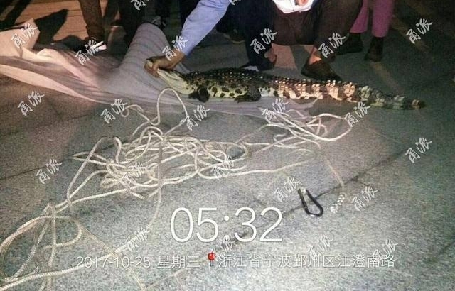 �����������ʱ����һ������ ����˵�����Ǳ�������