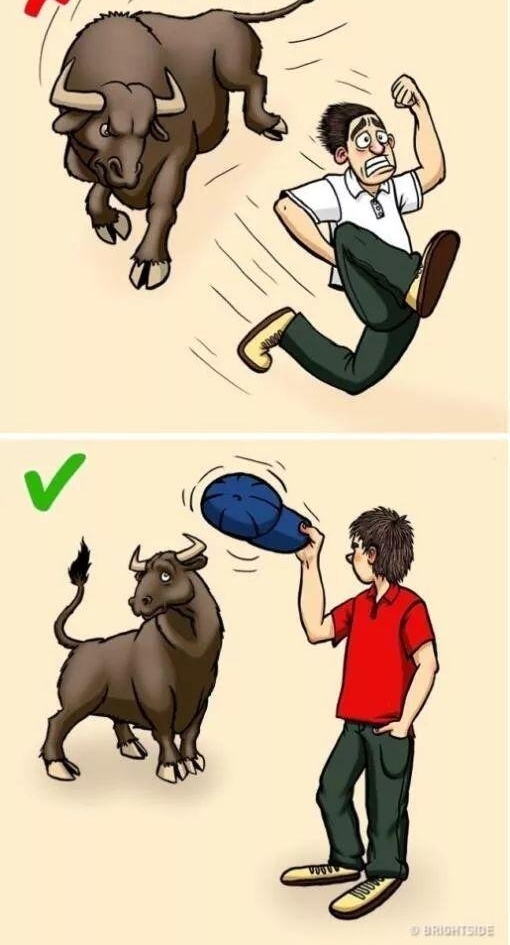 ���ܣ���Ұ�޹�����ô������