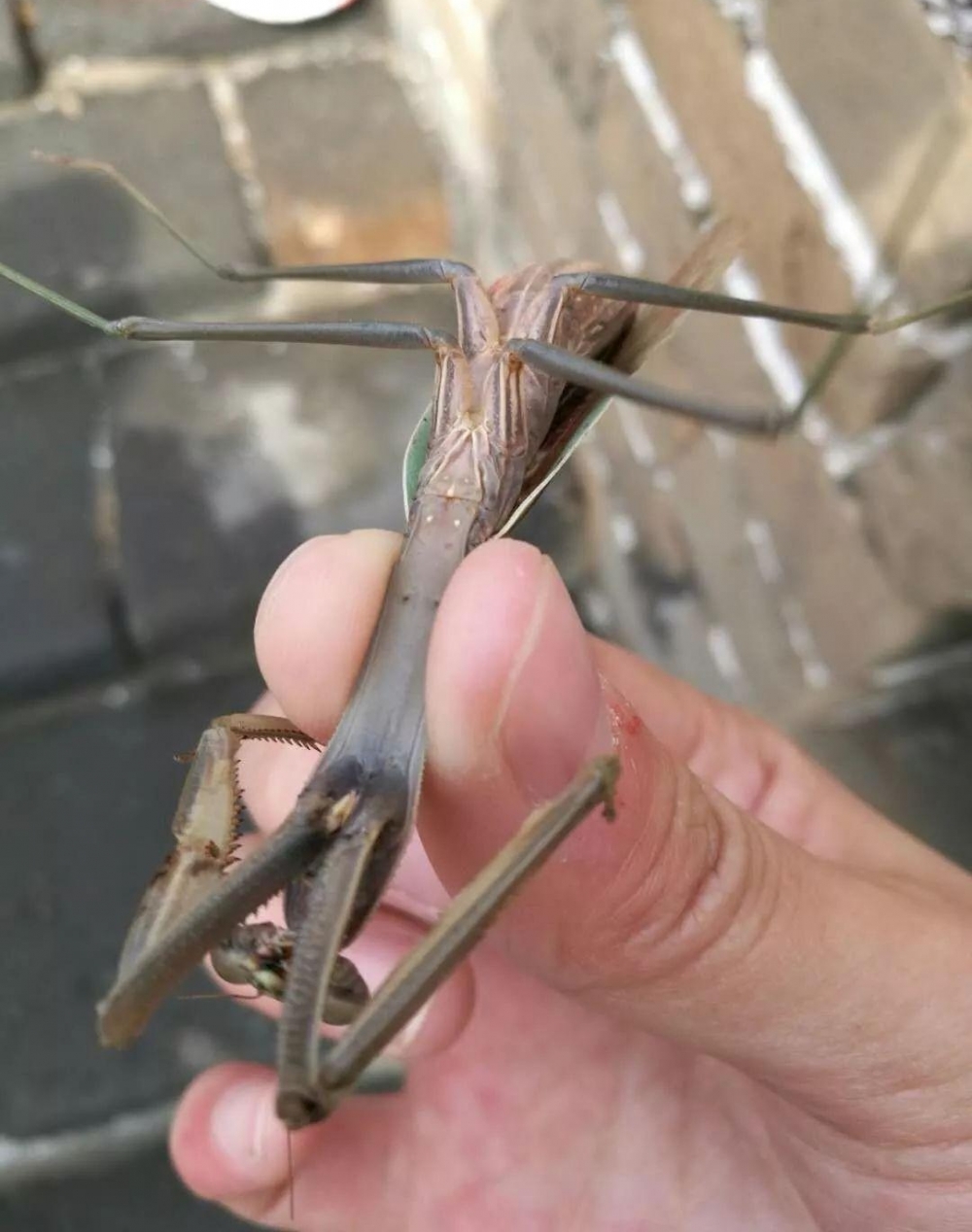 中科院物理所的死忠脑残粉才会点开……