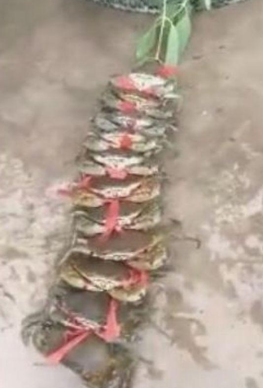 С������з�ż��У��ؼ��з�������ˣ���������һĻ��������