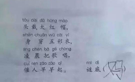 �������д�������ģ���������ʲôҪ�㺢������ҵ