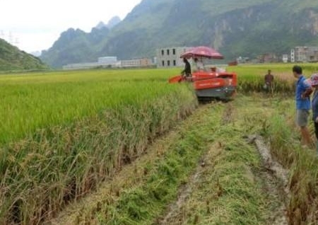 农村:有的农民兄弟领不到补贴有可能是这些原因,看一下吧