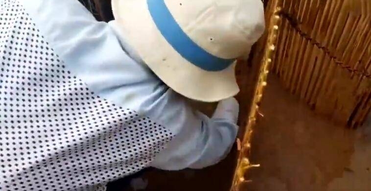 �������Ʋ������� ��һĻ���ˣ�