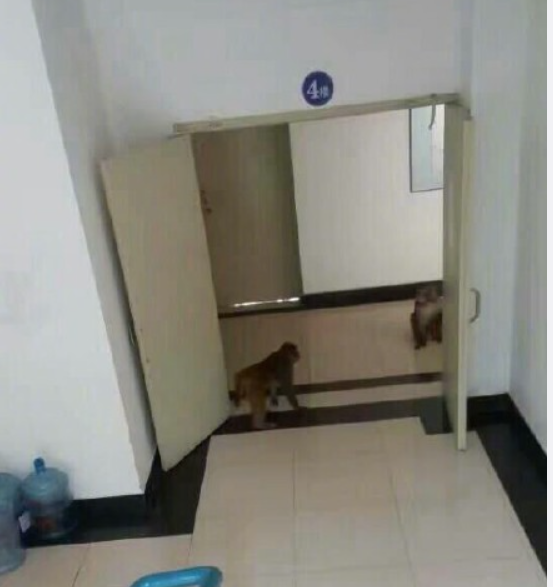 �����ˣ�����ʮһ�ܵ���ѧŮ�����������ȼ١�