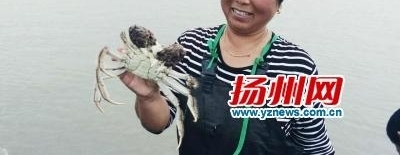 �������ݶ�Ұ����з���� ����һ����4������45ֻз