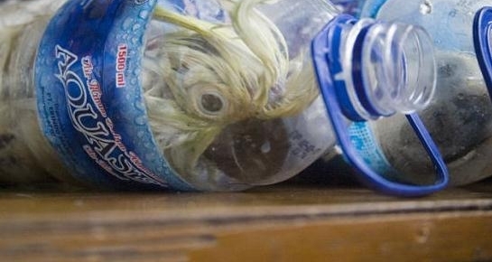 ������Ա����ʱ���ְ������۾������Լ�������һ���ǳ���ŭ