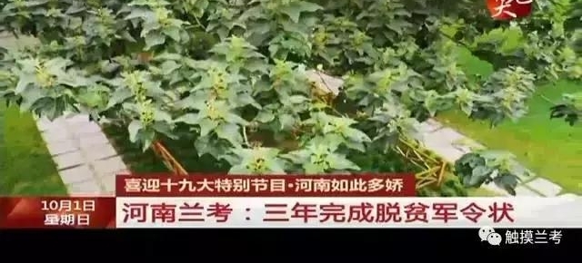 ���Ӵ���ֱ����Ŀ�������񳯡�������Ϊ����˳�ʱ�䡰��������
