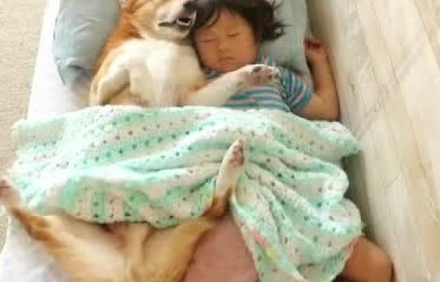 ���赣��Ů����˯�߱��� ��ȥ����һ���Ц����