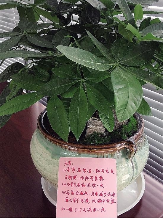 ����ʵϰ����λ��ů�� ���칫�ҵ������������������ơ�