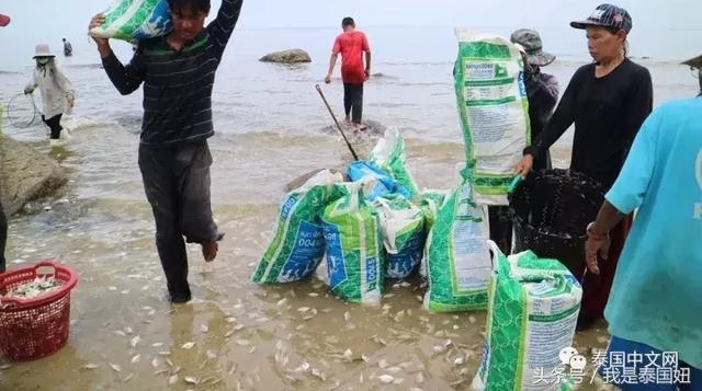 �����ϰ��ĺ��ʷ��ĳ��֣����ش���񲻹���
