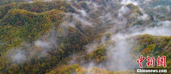 四川光雾山层林尽染云雾缭绕如仙境