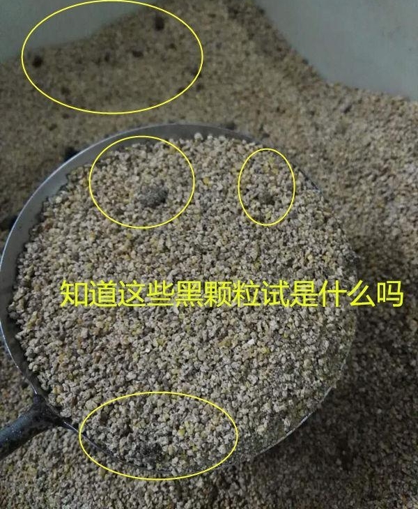 Ҫ�봴ҵ��ֳ��������Ǯ ��ЩҪ֪��