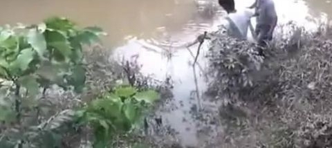 ũ�常��ȥ�ӱߵ���, ���������������, �ŵ��ȶ�����