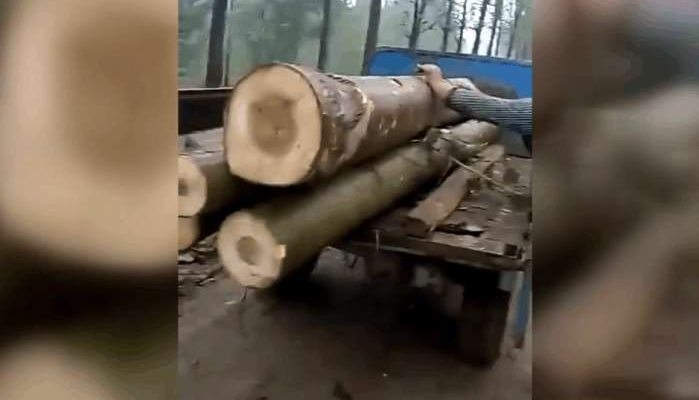 ����һ�˼翸���ٽ�ʪľ������ף����ѣ����Ƿ���ǽ�����