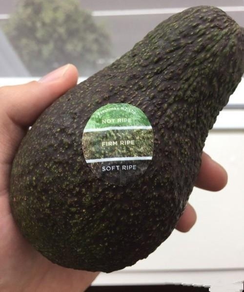 ʵ��10�����ķ����������������ů����