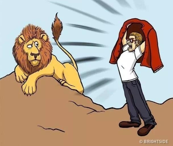 ���ܣ���Ұ�޹�����ô������
