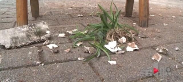 扫把、锅铲、花盆 这个小区居民楼上啥都敢往下掉