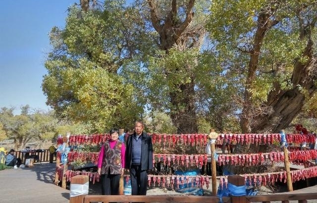 һ�ж�����õİ��ţ������׸���ĸ�Ľ��֮��