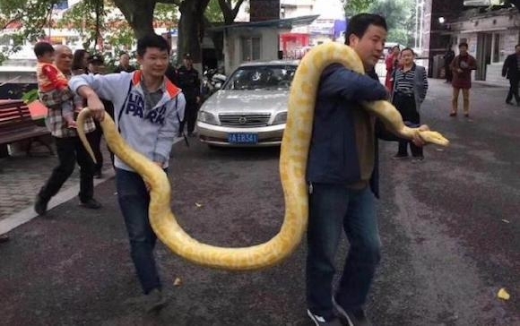 ���������ڼ������ƽ��� �����ظ�����������԰