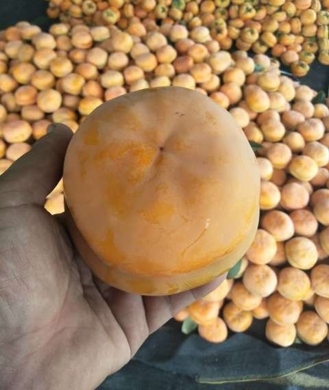 Ը�����ߢ���������ӹ�ӭ�������