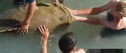 ���ӵ���ȴ��������ˮ�����û�뵽����Ȼ��������ý��