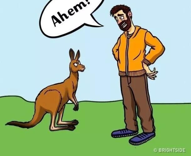 ���ܣ���Ұ�޹�����ô������