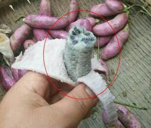���ţ���������120���3����̧�����г������ϵģ���û����