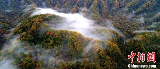 四川光雾山层林尽染云雾缭绕如仙境