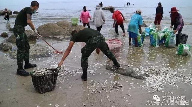 �����ϰ��ĺ��ʷ��ĳ��֣����ش���񲻹���
