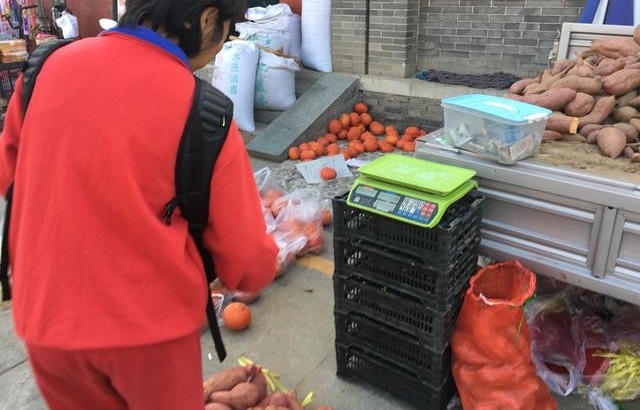 红薯今年大丰收,可是农民却说自己没赚钱!到底为什么?