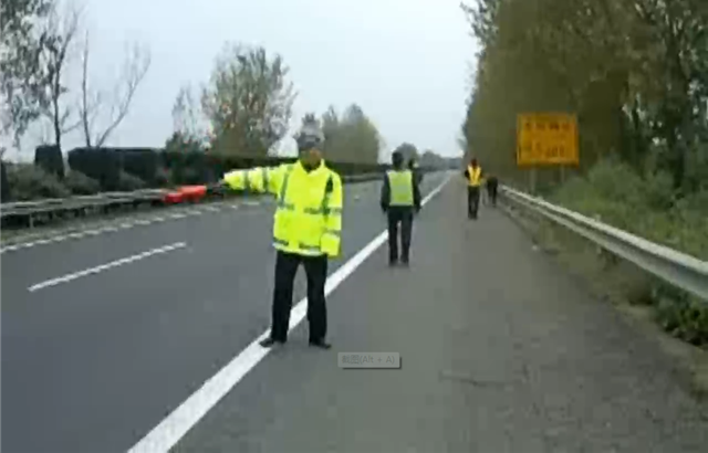 大黑牛奔上高速公路 为“自由”又上道又下田愁煞交警