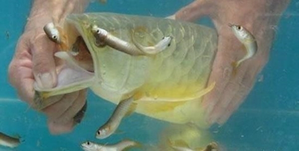 ���ӻ��߼�Ǯ�����һ�������㣬���������˲�侪����