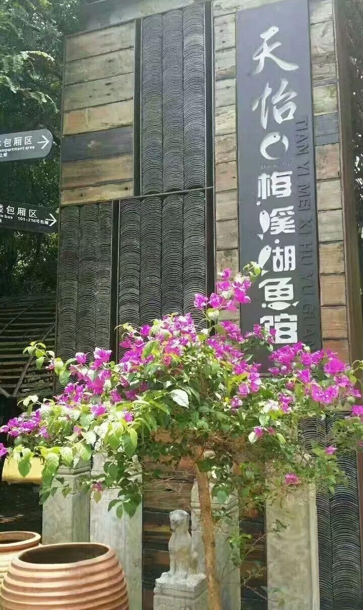 �Ӳ��Ӵ��°೤�������й���⿴�ʦ���Ĵ���......