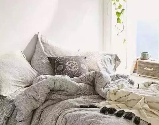 �����֪��������Ĵ�ǧ���ǽ�ţ�һ����ͺ��