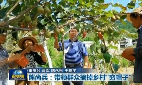 ʮ�Ŵ������ɣ���缫�����б�