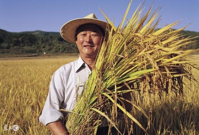 接下来的几年,农村土地变化会出现三个阶段,农民要早做准备了!