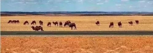 ��˵����������66�Ź�· �������й���·�걬��