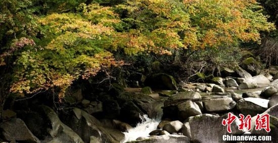 四川光雾山层林尽染云雾缭绕如仙境