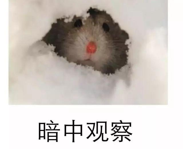 ��Ǳ����00���Ȧ�ӣ��������Ǿ�Ȼ...