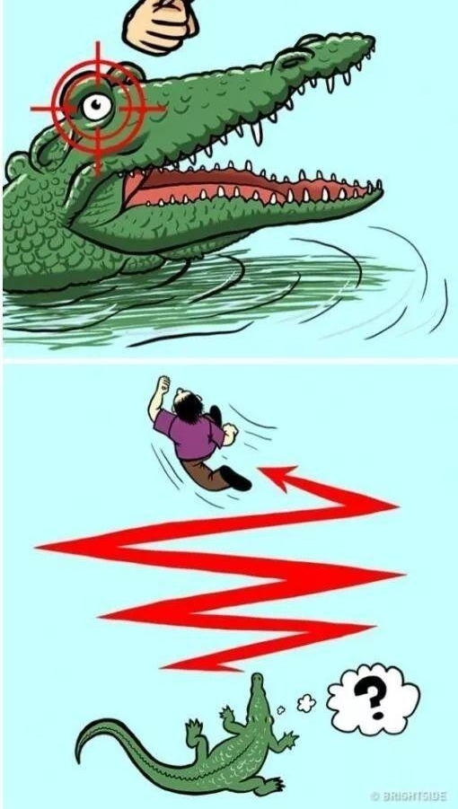 ���ܣ���Ұ�޹�����ô������