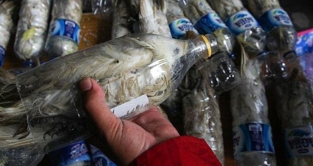 ������Ա����ʱ���ְ������۾������Լ�������һ���ǳ���ŭ