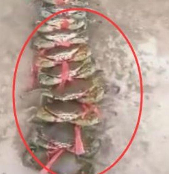 С������з�ż��У��ؼ��з�������ˣ���������һĻ��������