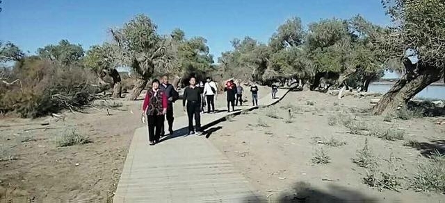 һ�ж�����õİ��ţ������׸���ĸ�Ľ��֮��