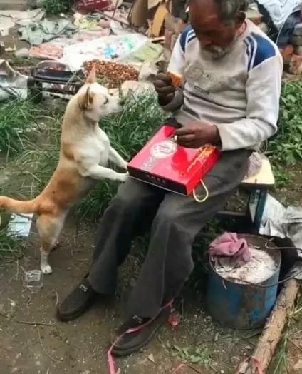 78�����˿����������棬���ڱ������Բ��ϣ�ȴ����ͷ�������˹�