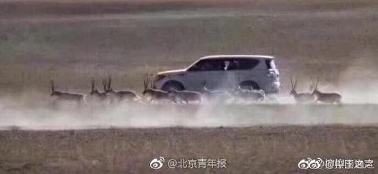 求求你们千万别去西藏了!!!