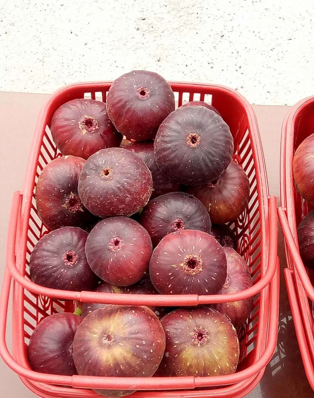 �������Ӻ���80�������ӵĴ�ҵ֮·