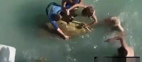 ���ӵ���ȴ��������ˮ�����û�뵽����Ȼ��������ý��