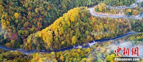 四川光雾山层林尽染云雾缭绕如仙境