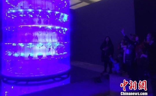 �ӱ������Ӿ�����ʵ��չ��չ�������ӽ���ײ�й��Ļ�