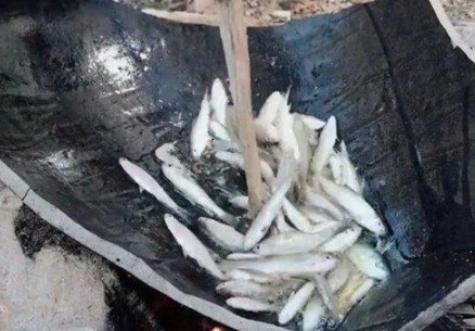 Сʱ����ũ��������һĻ����̫��Ϥ����������������?